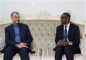 Iran Has Special Plans for Economic Cooperation with Mali: FM
