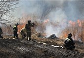 آتش‌سوزی در جنگل فندقلوی اردبیل/ تلاش برای اطفای حریق ادامه دارد