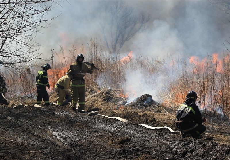 دستورات پوتین درباره اقدامات لازم برای مقابله با آتش سوزی‌های طبیعی در روسیه