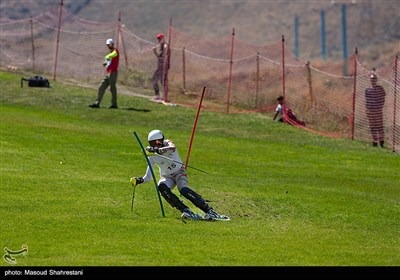 جام جهانی اسکی روی چمن