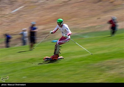 جام جهانی اسکی روی چمن