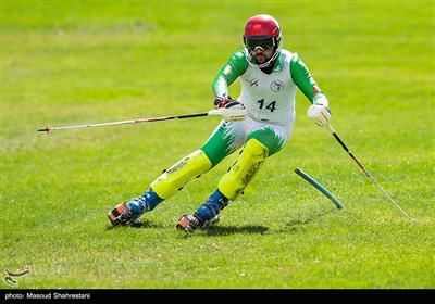جام جهانی اسکی روی چمن