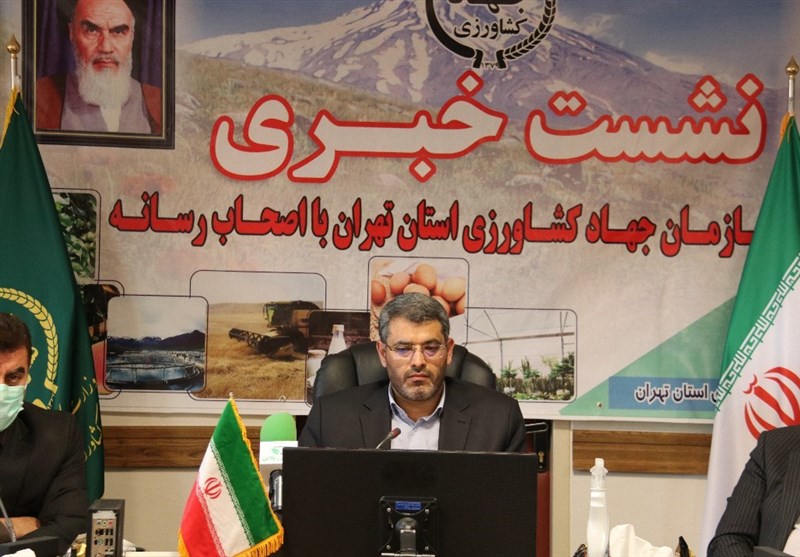 رشد 36 درصدی اعطای اعتبارات کشاورزی در استان تهران