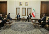Iran Sees No Limit to Development of Ties with Brazil: FM