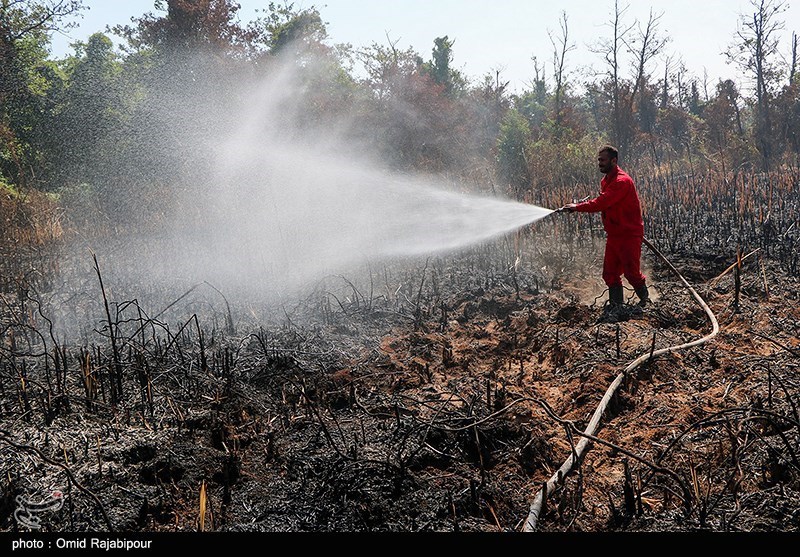 آتش به جان جنگل‌های کلاردشت افتاد/ اعزام بالگرد به منطقه برای اطفای حریق + فیلم