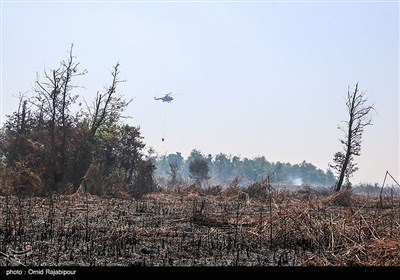 آتش سوزی در تالاب بین المللی امیرکلایه لاهیجان