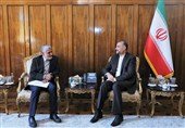 دیدار سفیر جدید ایران در سازمان ملل با امیرعبداللهیان