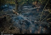 آتش‌سوزی در عرصه‌های منابع طبیعی ایلام در سال جاری به صفر رسید