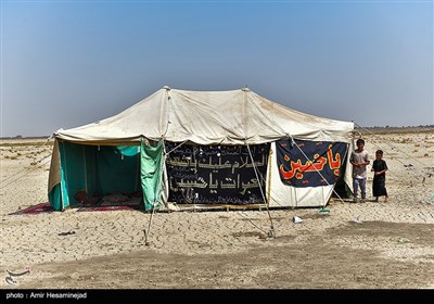پیاده روی اربعین حسینی در منطقه سماوه عراق