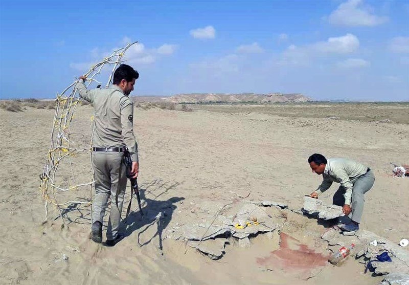 طرح مقابله با زنده‌گیری پرندگان شکاری در استان بوشهر آغاز شد