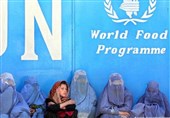 فعالیت سازمان جهانی غذا در غزنی به حالت تعلیق درآمد