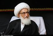 دیدار  محسن رضایی  معاون اقتصادی رئیس جمهور با  آیت‌الله نوری همدانی مرجع تقلید شیعیان