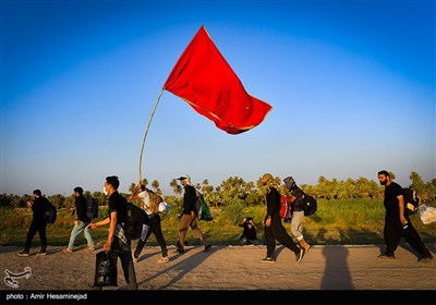 پیاده روی زائرین اربعین حسینی از طریق العلما و مسیر طویریج