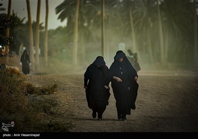 پیاده روی زائرین اربعین حسینی از طریق العلما و مسیر طویریج