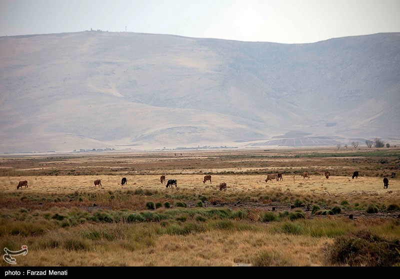 چرا ‌تالاب میل مغان در کنوانسیون رامسر ثبت نمی‌شود؟