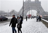 Energy Crisis May Destroy European Unity as Winter Looms, IEA Warns