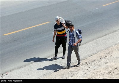 پیاده روی زائران امام رضا (ع)