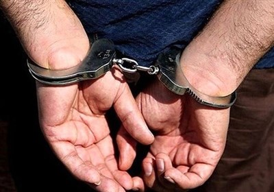  دستگیری عامل اغتشاشات پاساژ علاءالدین 