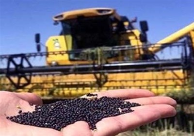  رونق تولید بذرهای با کیفیت دانه‌های روغنی و محصولات کشاورزی با ۱۸ پروژه ملی 
