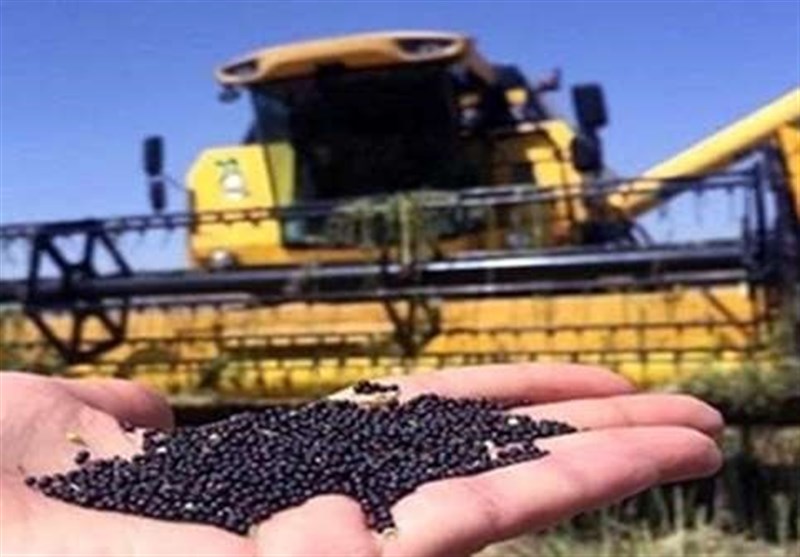 رونق تولید بذرهای با کیفیت دانه‌های روغنی و محصولات کشاورزی با 18 پروژه ملی