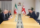 دیدار سفیر جدید ایران با وزیر کشور و رئیس پارلمان گرجستان