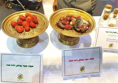  افزایش ماندگاری میوه‌جات تا چندین ماه با اختراع نانویی یک شرکت ایرانی! 