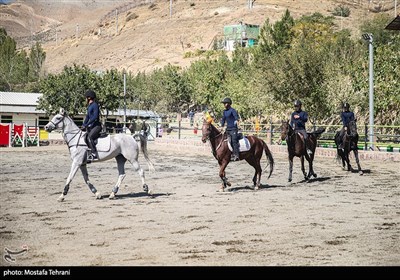 مسابقات اسواران به مناسبت گرامیداشت هفته نیروی انتظامی