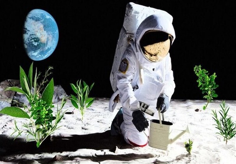 برنامه یک استارت‌آپ استرالیایی برای پرورش گیاهان در کره ماه!