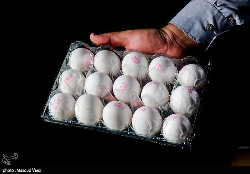 قیمت تخم مرغ در استان قزوین 8 درصد کاهش یافت