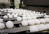 تقویت نظارت بر شبکه تولید و توزیع تخم‌مرغ در شهرستان کاشان