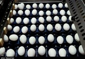 وزارت جهاد کشاورزی: فروش هرشانه تخم مرغ بالاتر از 76 هزار تومان تخلف است