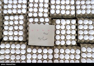  اخطار وزارت جهاد کشاورزی به مرغداران/ تخم‌مرغ را گران کنید، تعزیراتی می‌شوید 