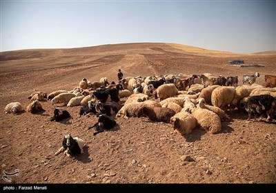 عشایر ایل بزرگ سرداری