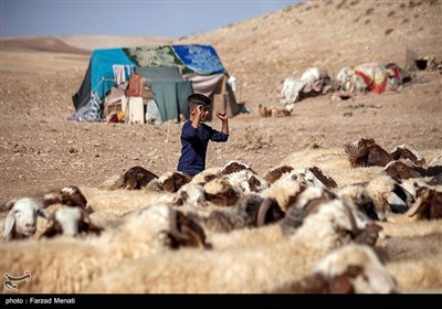 عشایر ایل بزرگ سرداری