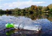 آلودگی‌های ناشی از پلاستیک تنوع زیستی را در دریا و خشکی به خطر انداخته است