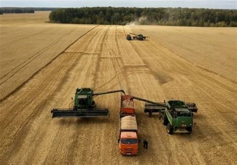 Envoy Says Iran to Become Top Buyer of Russian Grain