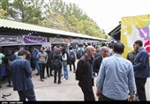 در ‌دانشگاه بین‌المللی امام خمینی‌(ره) قزوین چه خبر است؟ + تصاویر‌