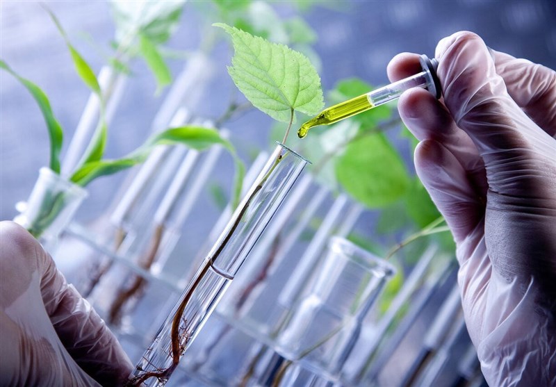 6 داروخانه گیاه‌پزشکی متخلف در قزوین شناسایی شد