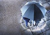 باز شدن چتر بیمه، بالای سر سهامداران حقیقی در بورس