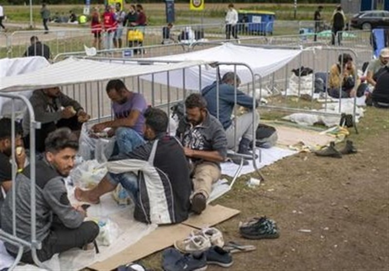 افزایش بی سابقه پناهجویان خارجی در آلمان به دلیل جنگ اوکراین