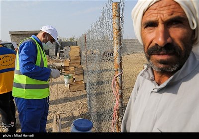 اعزام 54 اکیپ دامپزشکی جهت واکسیناسیون دام وطیور در مناطق محروم خوزستان