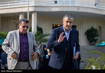 محمد اسلامی رئیس سازمان انرژی اتمی در حاشیه جلسه هیئت دولت