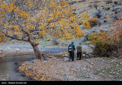 طبیعت پاییزی دره خان ارومیه