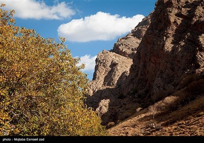 طبیعت پاییزی دره خان ارومیه