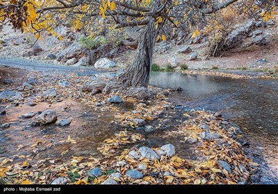 طبیعت پاییزی دره خان ارومیه