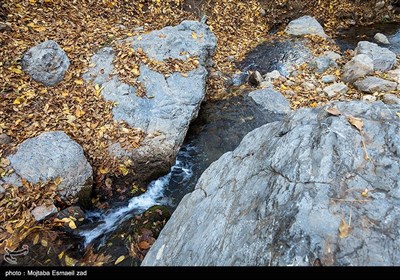 طبیعت پاییزی دره خان ارومیه