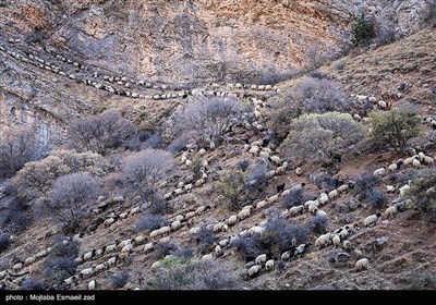 طبیعت پاییزی دره خان ارومیه