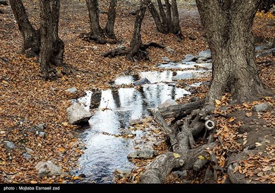 طبیعت پاییزی دره خان ارومیه