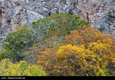 طبیعت پاییزی دره خان ارومیه