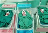 تولد نوزادان سه قلو در گناباد